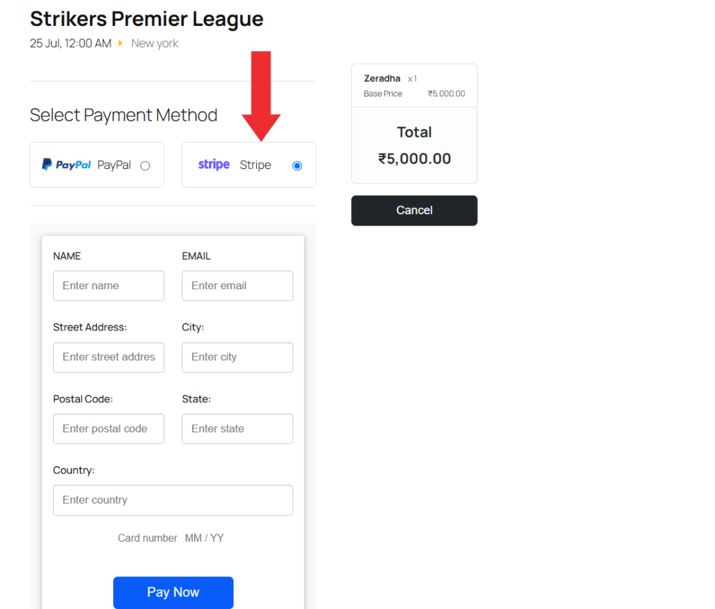 Frontend View of Stripe Payment Gateway