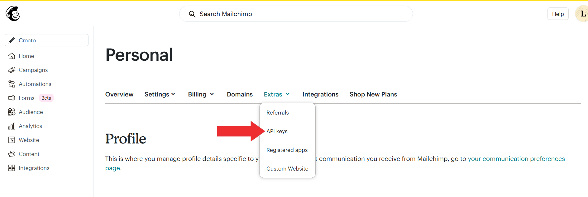 Click on Extras Tab and Select API Keys from Dropdown Menu